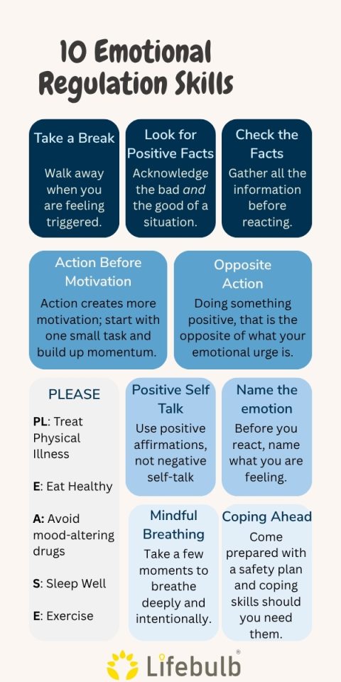Infographic listing 10 emotional regulation skills, including taking breaks, positive self-talk, checking facts, opposite action, and strategies like mindfulness and healthy habits.