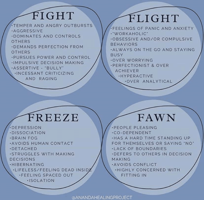 Infographic showing traits of trauma responses: Fight (aggression, control), Flight (anxiety, overworking), Freeze (depression, isolation), and Fawn (people pleasing, lacking boundaries). Support groups can help individuals navigate these patterns.