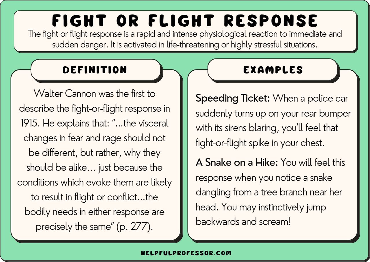 Infographic explaining the fight or flight response with a definition by Walter Cannon, two examples involving a police car and a snake encounter, and how support groups can help individuals manage stress responses.